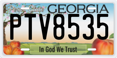 GA license plate PTV8535
