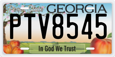 GA license plate PTV8545