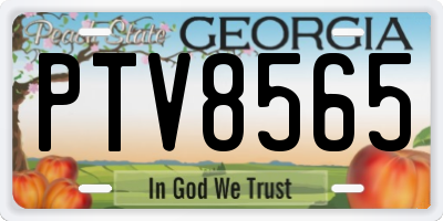 GA license plate PTV8565