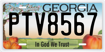 GA license plate PTV8567