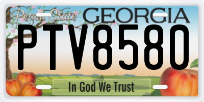 GA license plate PTV8580