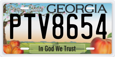 GA license plate PTV8654