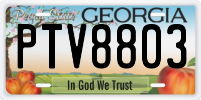 GA license plate PTV8803