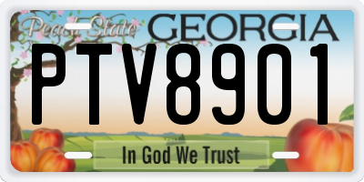 GA license plate PTV8901