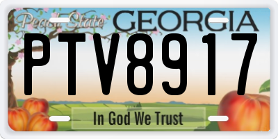 GA license plate PTV8917