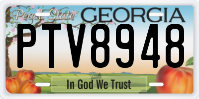 GA license plate PTV8948