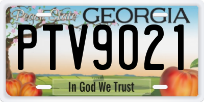 GA license plate PTV9021