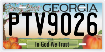 GA license plate PTV9026