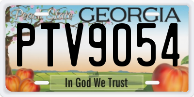 GA license plate PTV9054