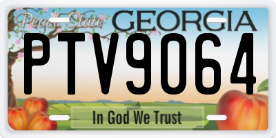 GA license plate PTV9064