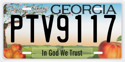 GA license plate PTV9117