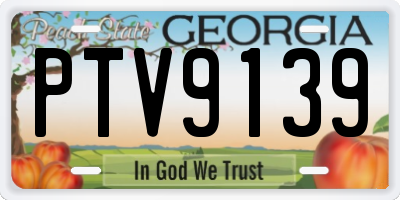 GA license plate PTV9139