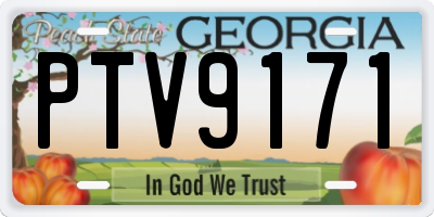 GA license plate PTV9171