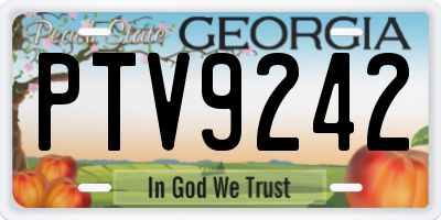 GA license plate PTV9242