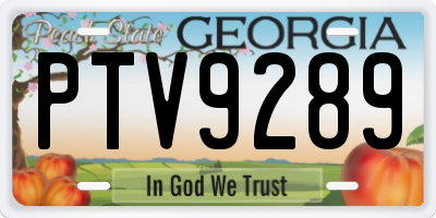 GA license plate PTV9289