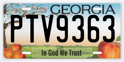 GA license plate PTV9363