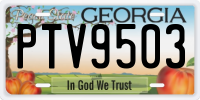 GA license plate PTV9503