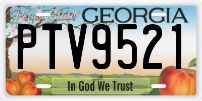 GA license plate PTV9521