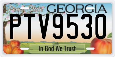 GA license plate PTV9530