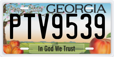 GA license plate PTV9539