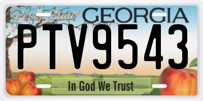 GA license plate PTV9543