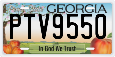 GA license plate PTV9550