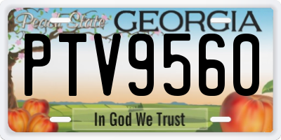 GA license plate PTV9560