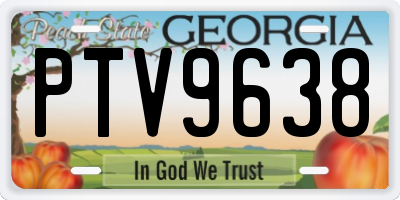 GA license plate PTV9638