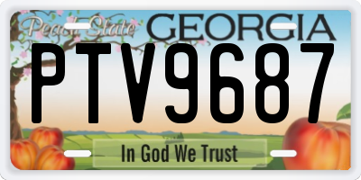 GA license plate PTV9687