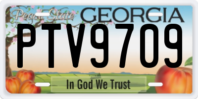 GA license plate PTV9709