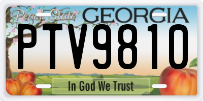GA license plate PTV9810
