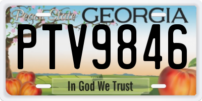 GA license plate PTV9846