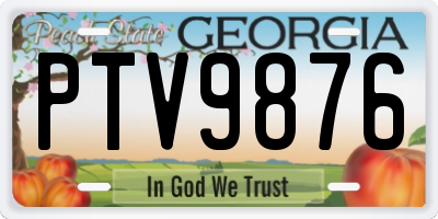 GA license plate PTV9876