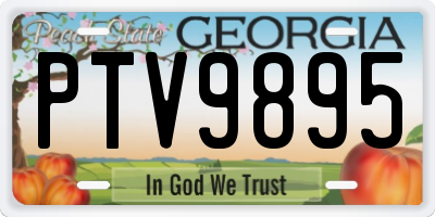 GA license plate PTV9895