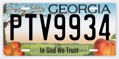 GA license plate PTV9934
