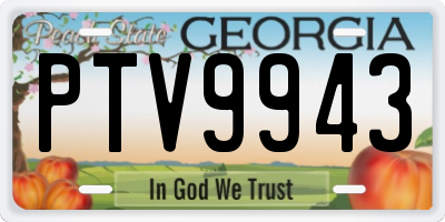 GA license plate PTV9943