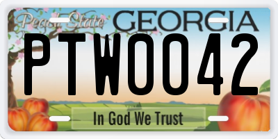GA license plate PTW0042