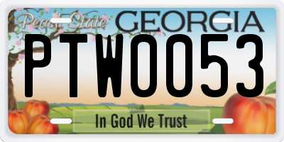 GA license plate PTW0053
