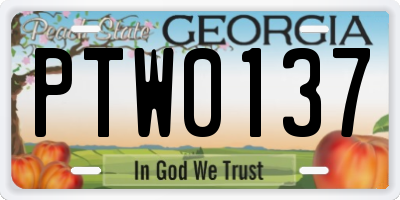 GA license plate PTW0137