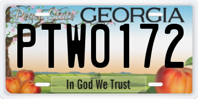 GA license plate PTW0172