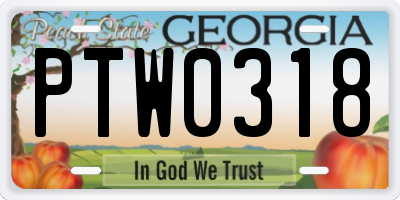 GA license plate PTW0318