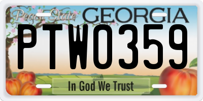 GA license plate PTW0359