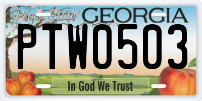 GA license plate PTW0503