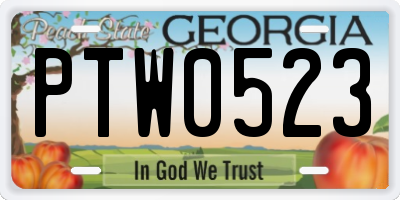 GA license plate PTW0523