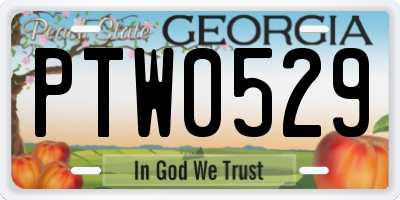 GA license plate PTW0529