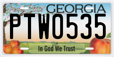 GA license plate PTW0535