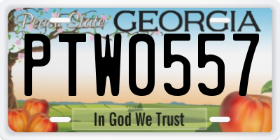 GA license plate PTW0557