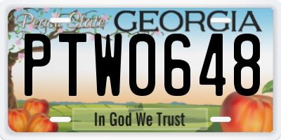 GA license plate PTW0648