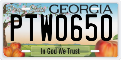 GA license plate PTW0650