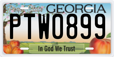 GA license plate PTW0899